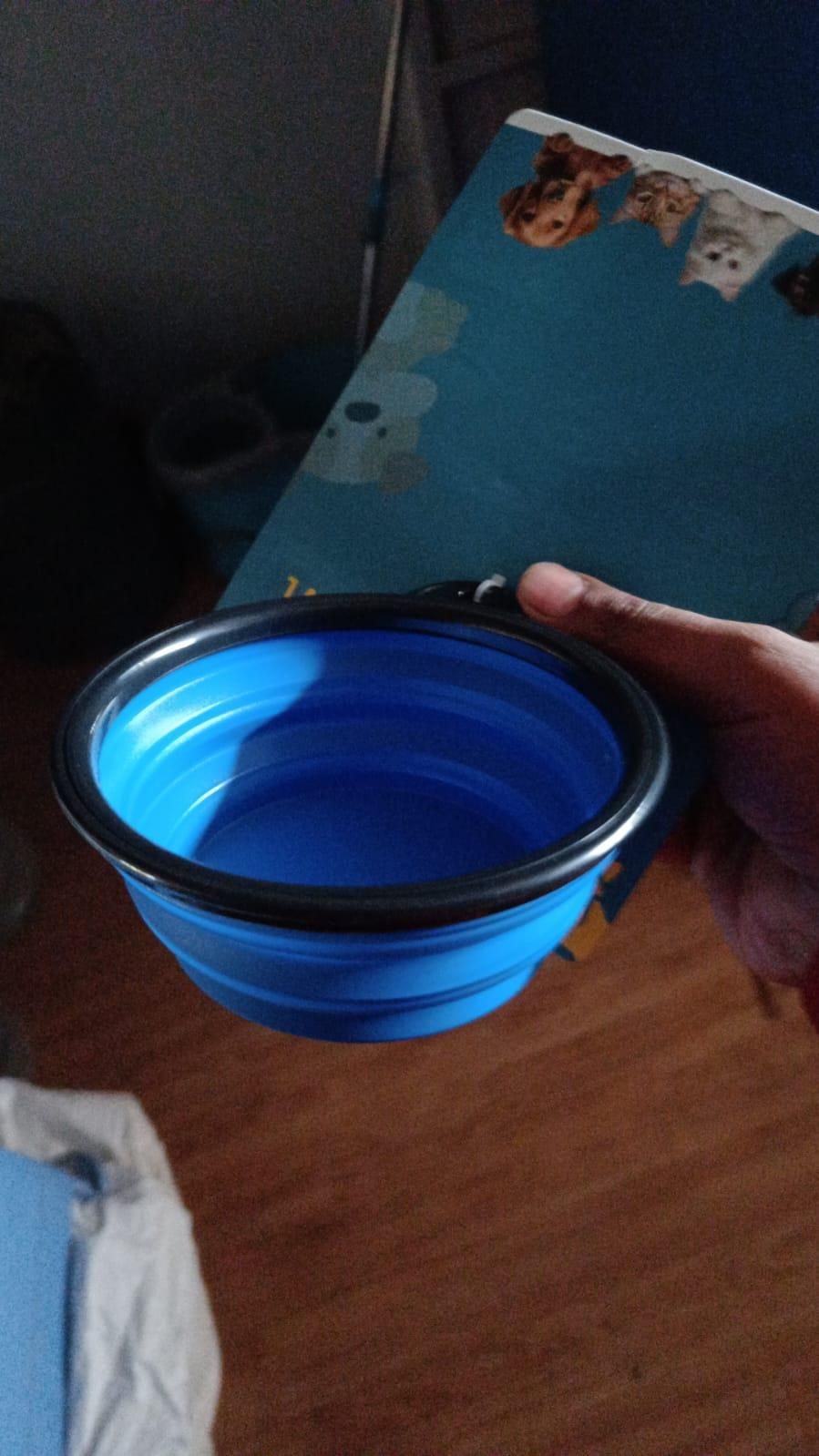 Foldable Pet Bowl