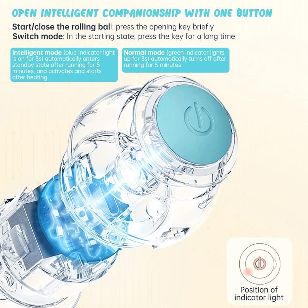 Interactive Pet Ball