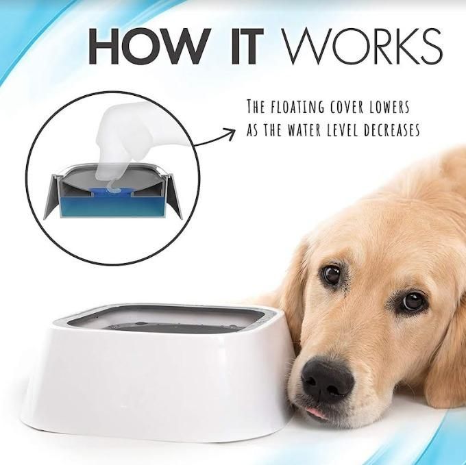 Anti-overflow pet bowl