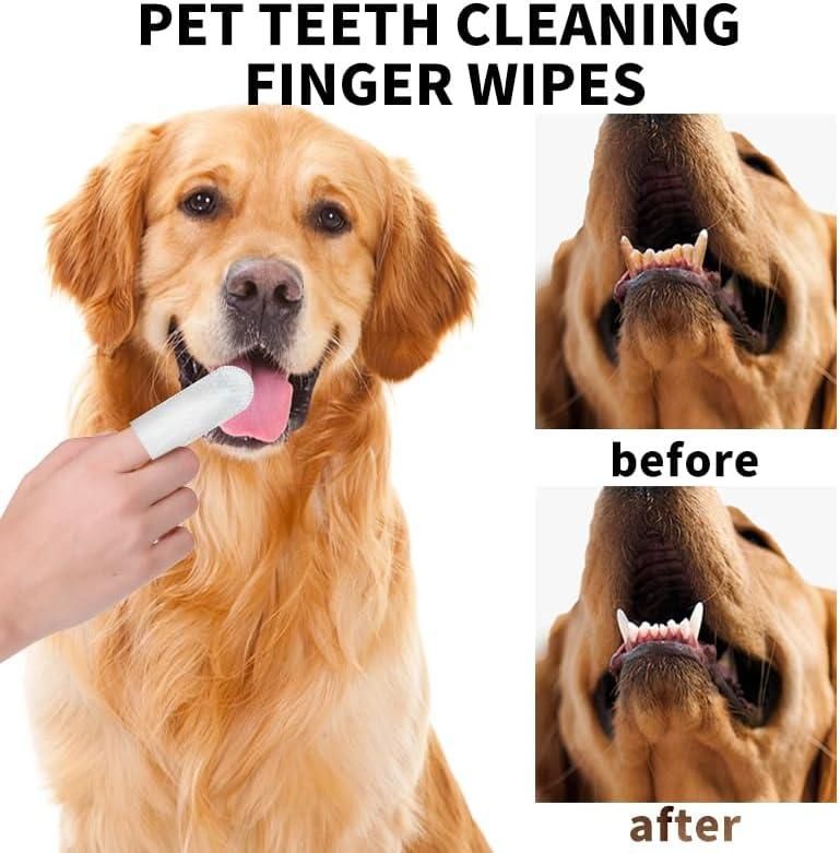 Dental Wipes for Pets
