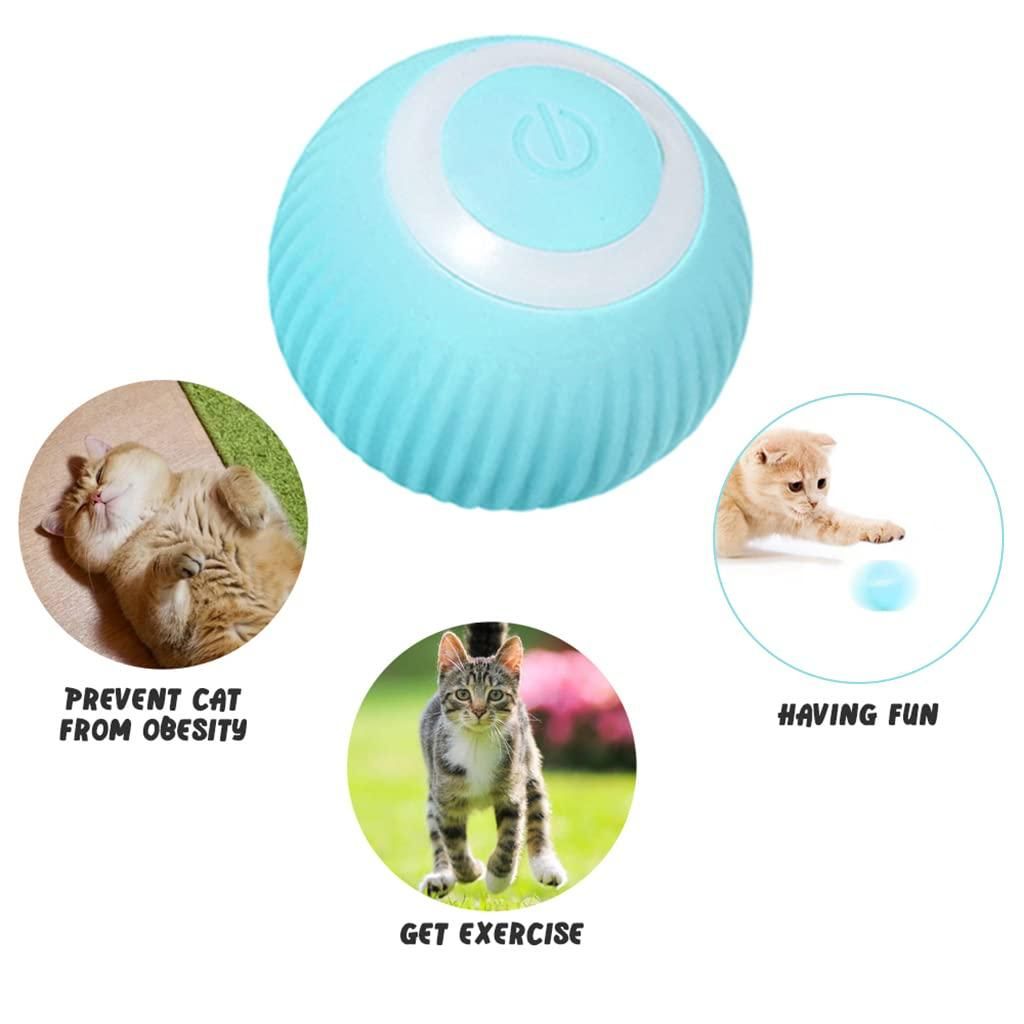 Interactive Pet Ball