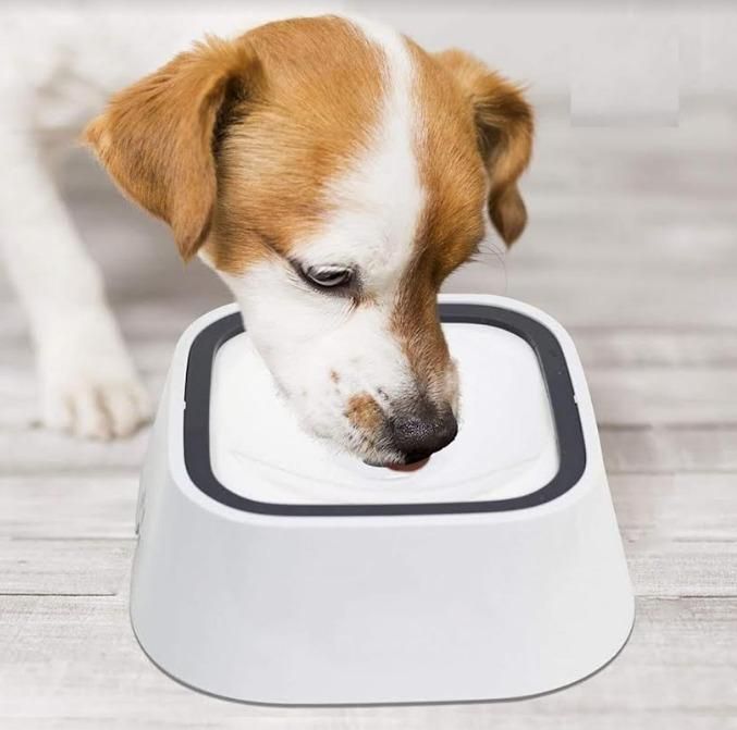 Anti-overflow pet bowl