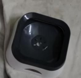 Anti-overflow pet bowl