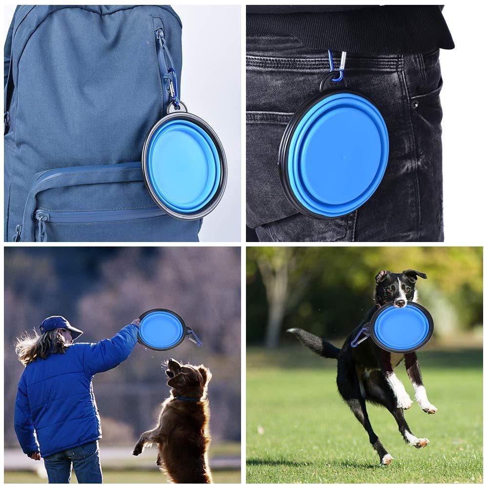 Foldable Pet Bowl