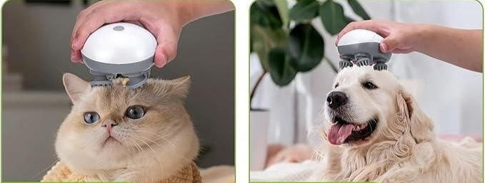 Pet Massager