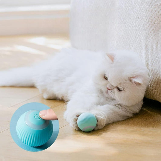 Interactive Pet Ball