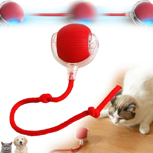 Interactive rolling pet toy