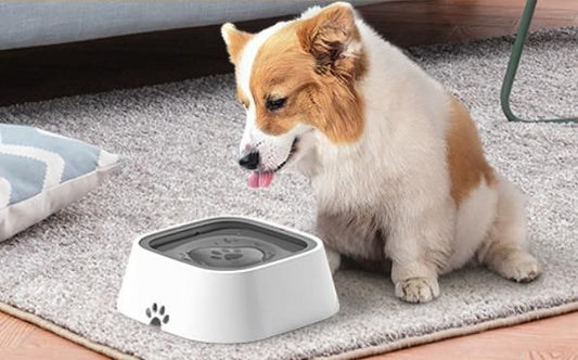 Anti-overflow pet bowl